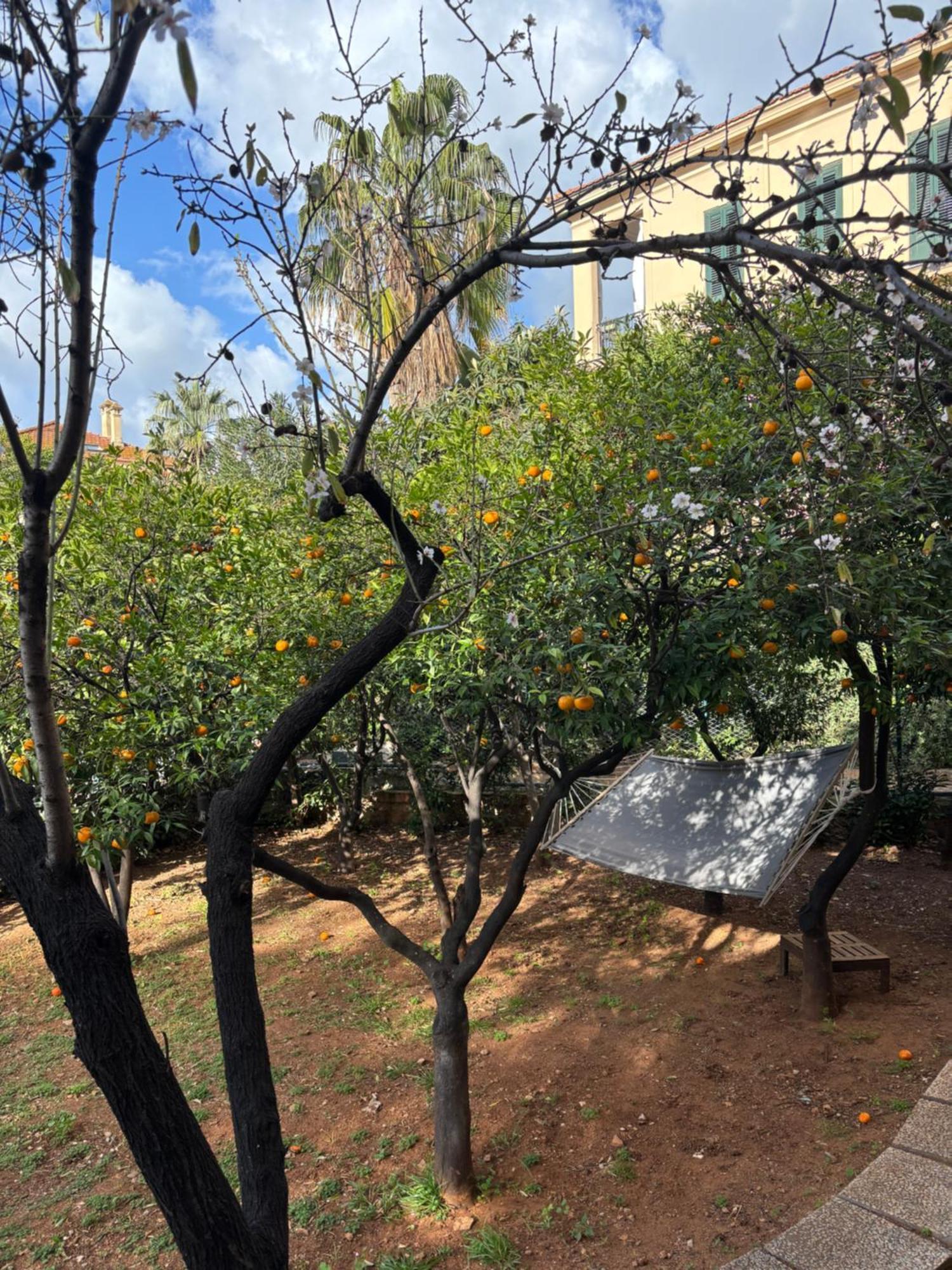 Apartament Matteotti Living And Garden Palermo Zewnętrze zdjęcie