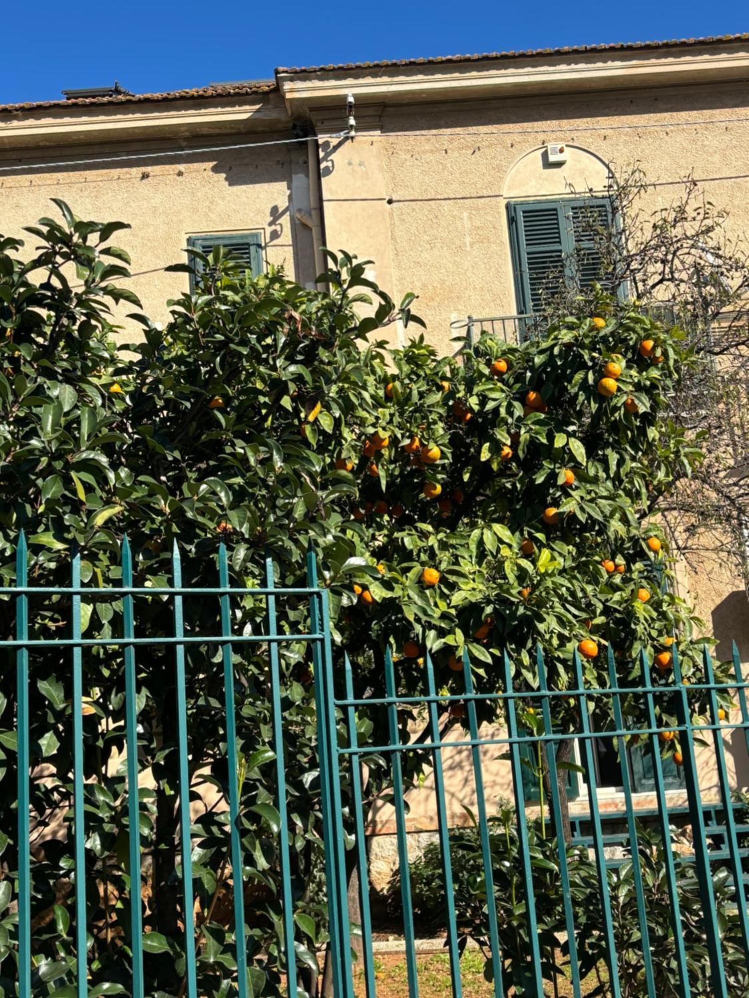 Apartament Matteotti Living And Garden Palermo Zewnętrze zdjęcie