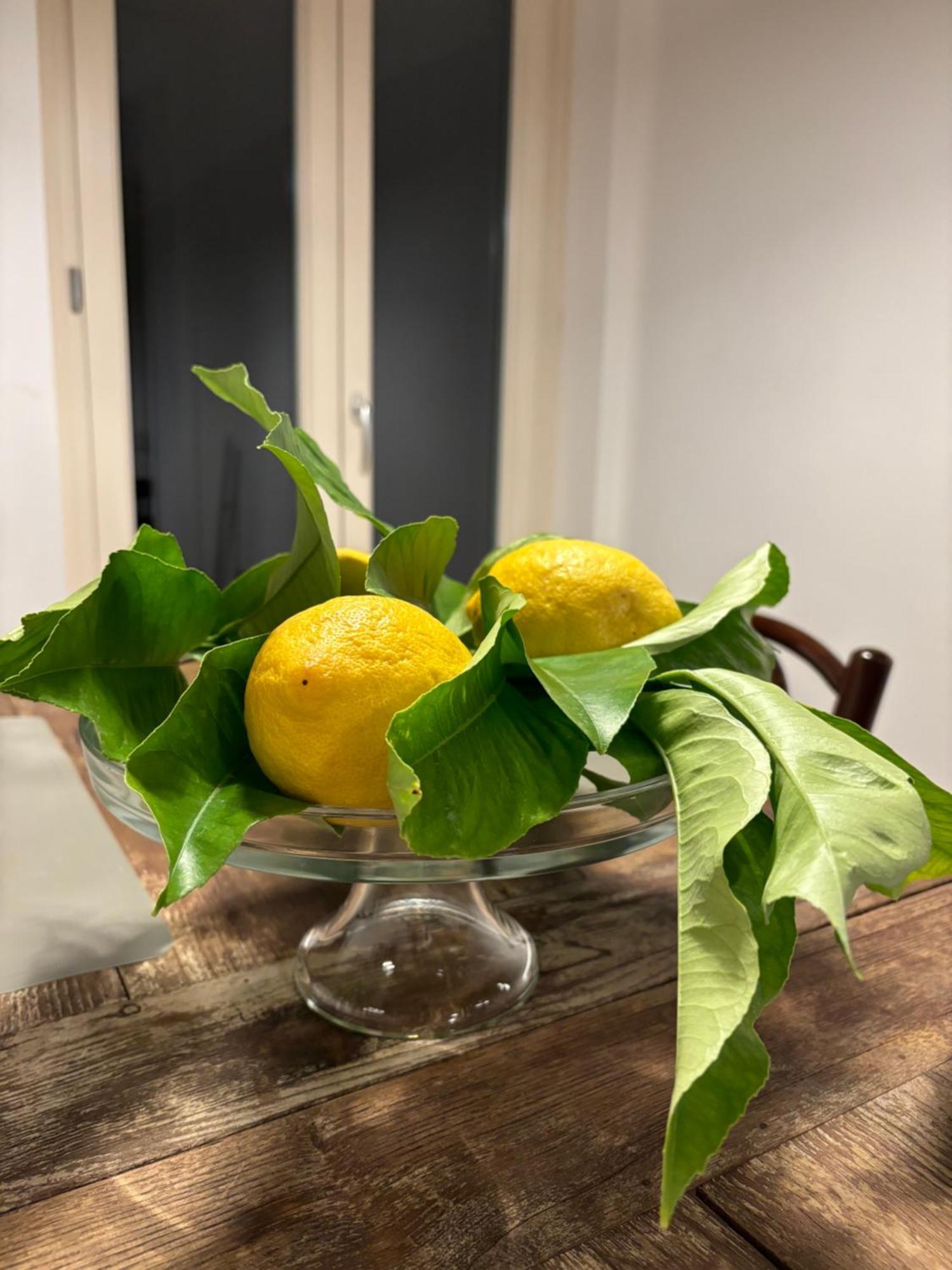 Apartament Matteotti Living And Garden Palermo Zewnętrze zdjęcie